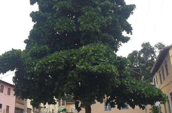 Pousada Amarela Lencois